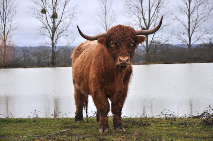 Descendu des Highlands