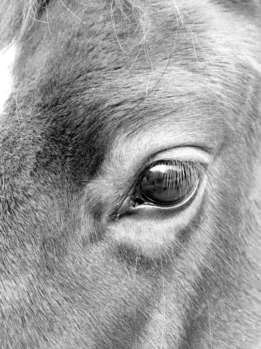 Miroir d'un monde inconnaissable