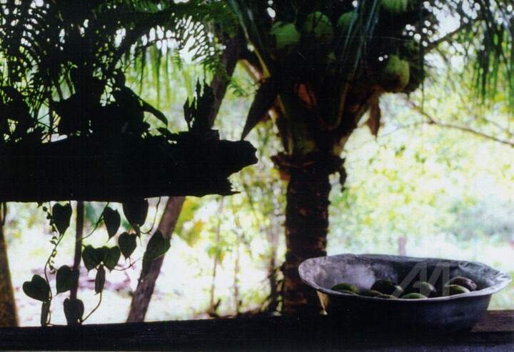 Brésil, village amazonien près de Manaus.