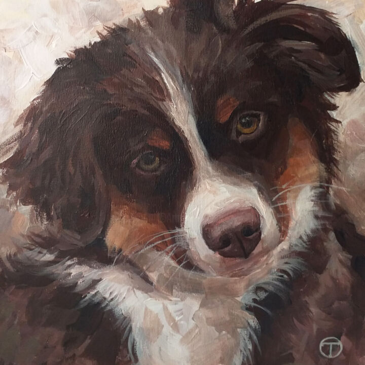绘画 标题为“Australian shepherd…” 由Olia Tomkova, 原创艺术品, 丙烯