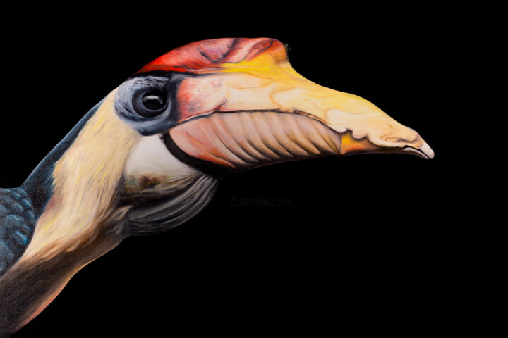 Wrinkled Hornbill 绘画, 15.8x23.6 in