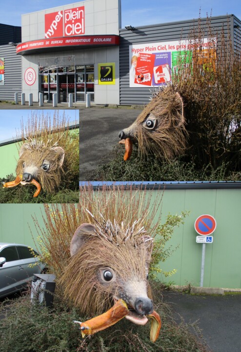 Photographie intitulée "HÉRISSON À "HYPER P…" par Applestrophe, Œuvre d'art originale, Bois