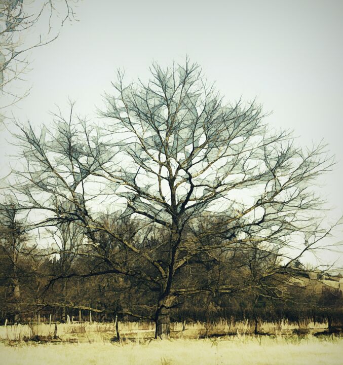 Photography titled "Not Quite a Lonely…" by Dave English, Original Artwork, Manipulated Photography