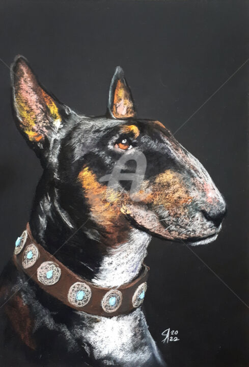 Drawing titled "BULL TERRIER..." by Svetlana Samovarova (SA.LANA), Original Artwork, Pastel