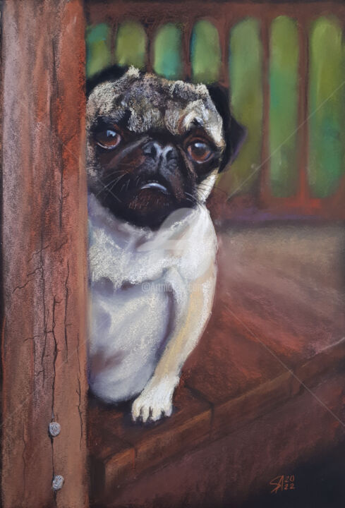 Drawing titled "PUG ..." by Svetlana Samovarova (SA.LANA), Original Artwork, Pastel