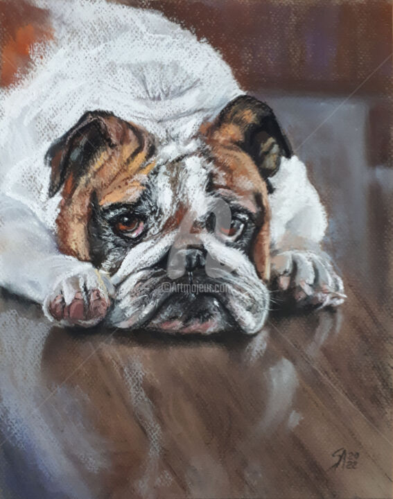 Drawing titled "BULLDOG..." by Svetlana Samovarova (SA.LANA), Original Artwork, Pastel