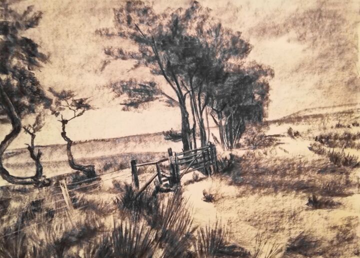 Paysage 3 Drawing, 15.8x19.7 in