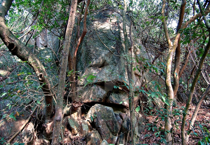 HK Island - Stone Face 摄影