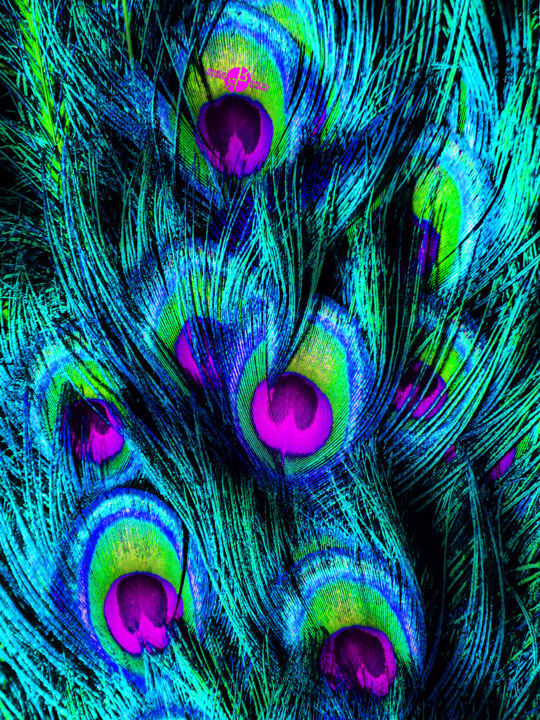 Peacock or Flower 1 绘画, 24x18 in