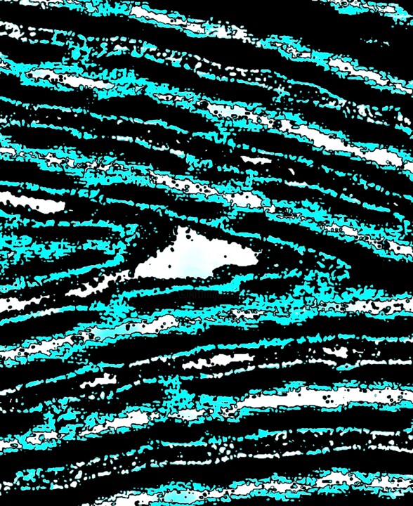 A Shark in a Swell in the Ocean on a Starry Night 100a7p 摄影, 30x24.5 in
