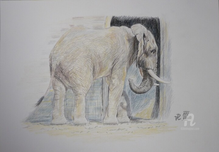 Elefant 图画, 8.3x11.8 in
