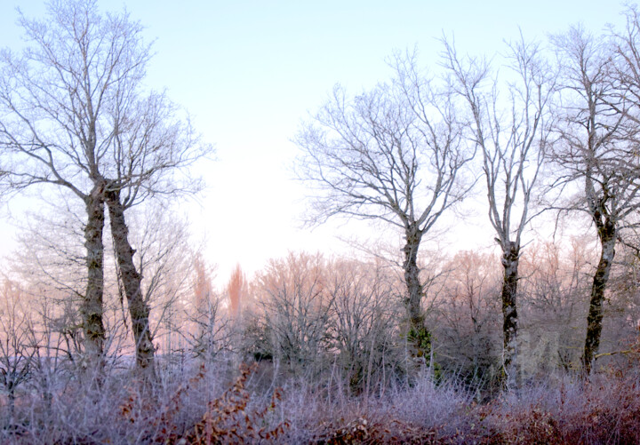 Des milliards de petites étoiles …