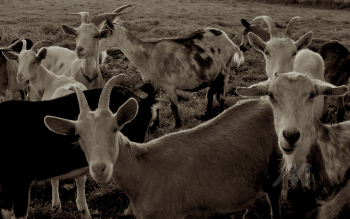 Le soleil se couche …