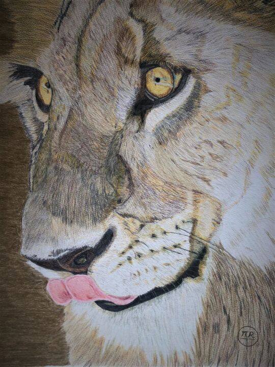Visage de lionne 图画, 15.8x11 in