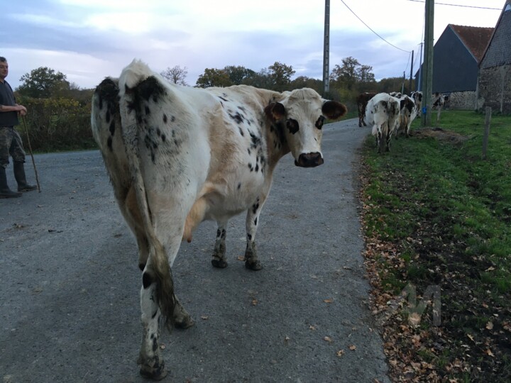 Libellule vous salue bien !