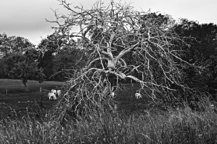 La vie après la mort