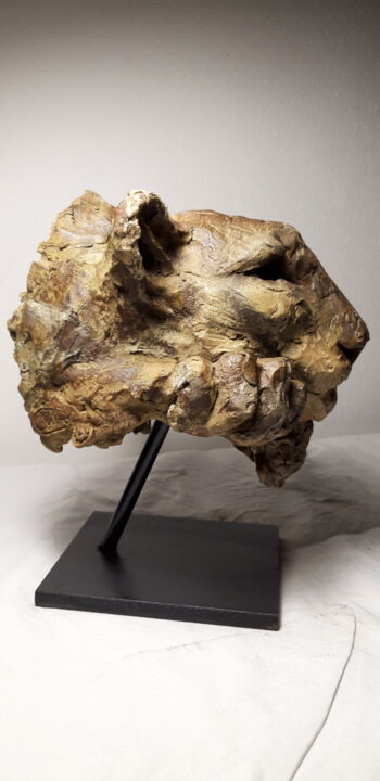 Sculpture intitulée "la lionne" par Gaby, Œuvre d'art originale, Bronze