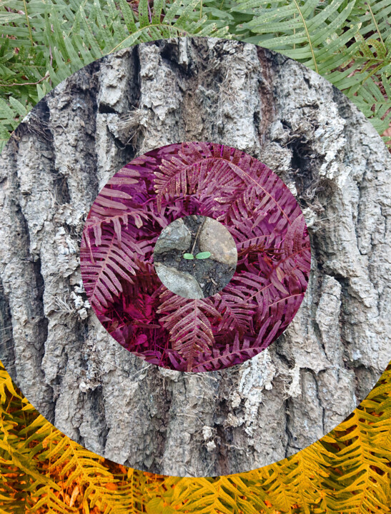 Photography titled "Nature Circle #3" by Pascal Carro (ORAK), Original Artwork, Manipulated Photography