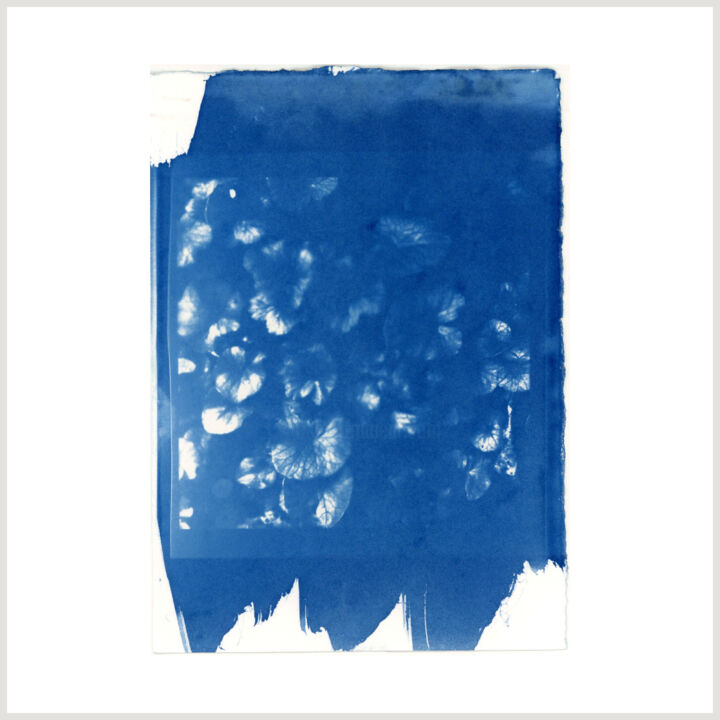 Photography titled "Cyanotypes Sans tit…" by Carole Renard, Original Artwork, Digital Photography