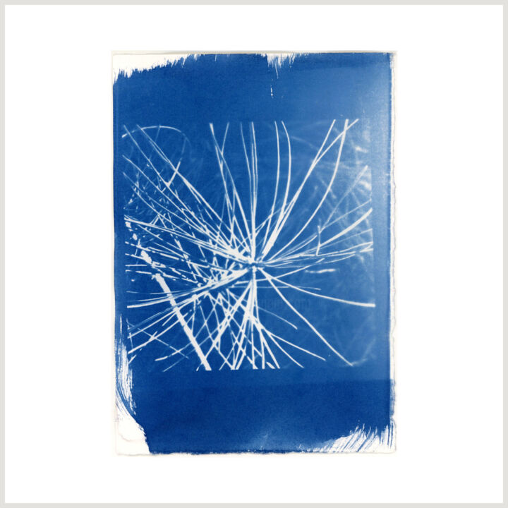 Photography titled "Cyanotypes Sans tit…" by Carole Renard, Original Artwork, Digital Photography