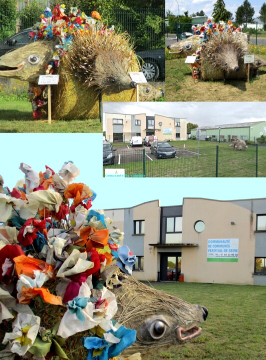 3 hérissons pour La CCVVS 2019 Magny-en-Vexin 摄影