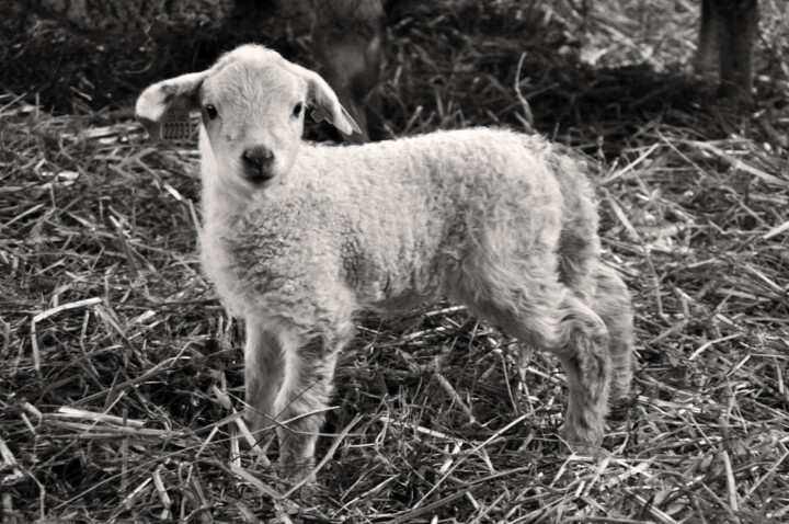 En route pour la vie !