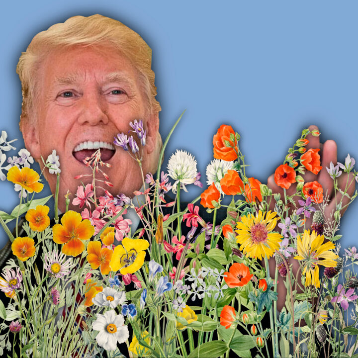 President Donald J Trump Flowers Flower Floral 绘画, 12x12 in
