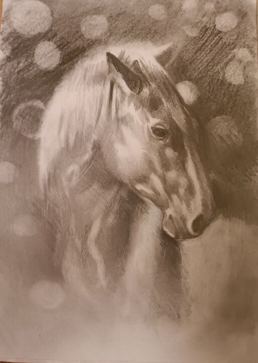 图画,  11.4x8.3 in 