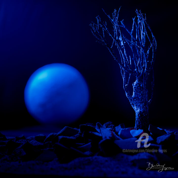 Rhapsodie in blue 摄影, 23.6x23.6 in