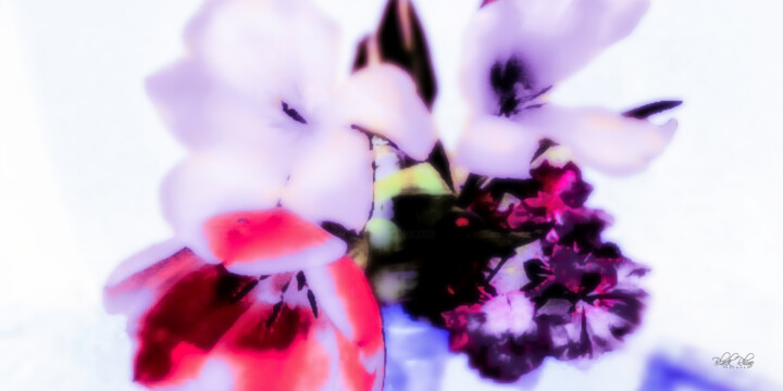 Blossom Radiance Printmaking, 36x72 in