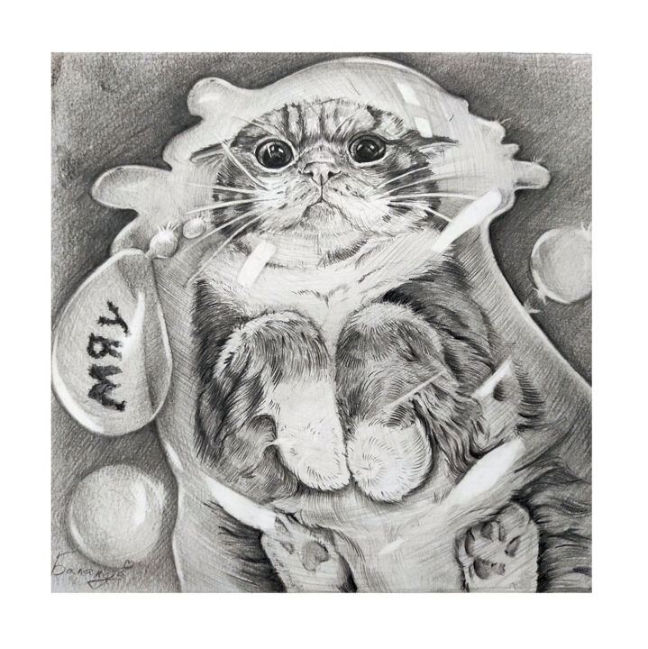 图画,  9.8x9.8 in 