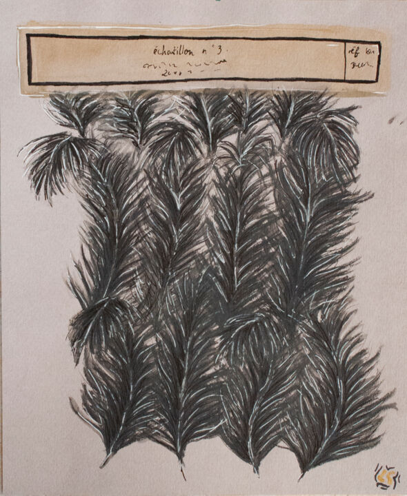Echantillon de plumes 绘画, 9.5x7.7 in