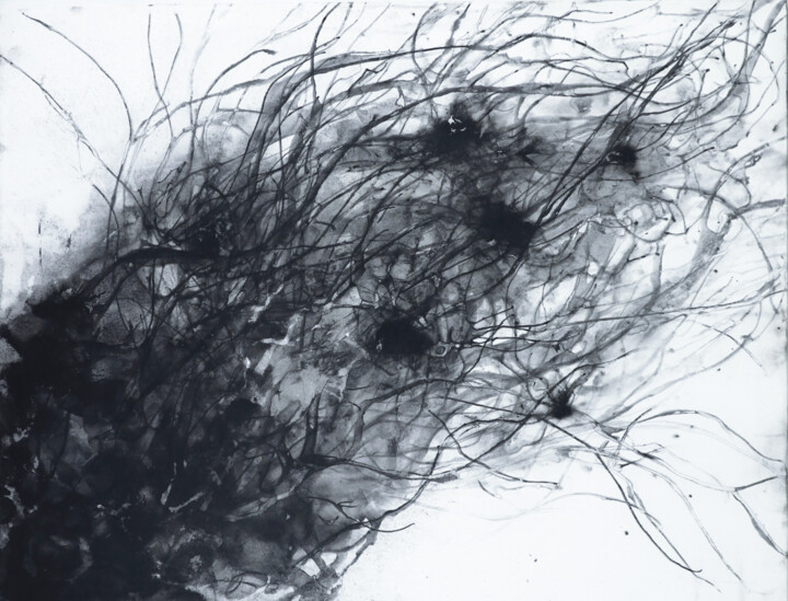 Comet 绘画, 35x45.7 in
