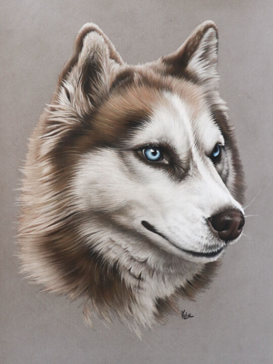 HUSKY 图画, 12.6x9.5 in
