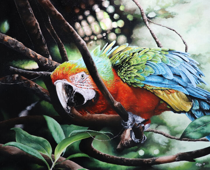 ALERTA 绘画, 19.7x24 in