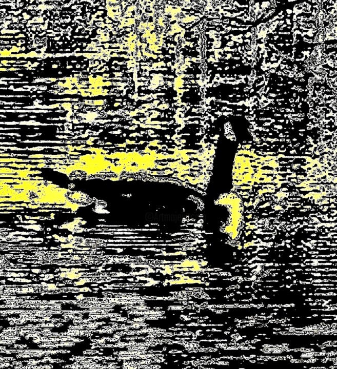 摄影 标题为“A Goose on the Lake…” 由Ken Lerner, 原创艺术品, 数码摄影