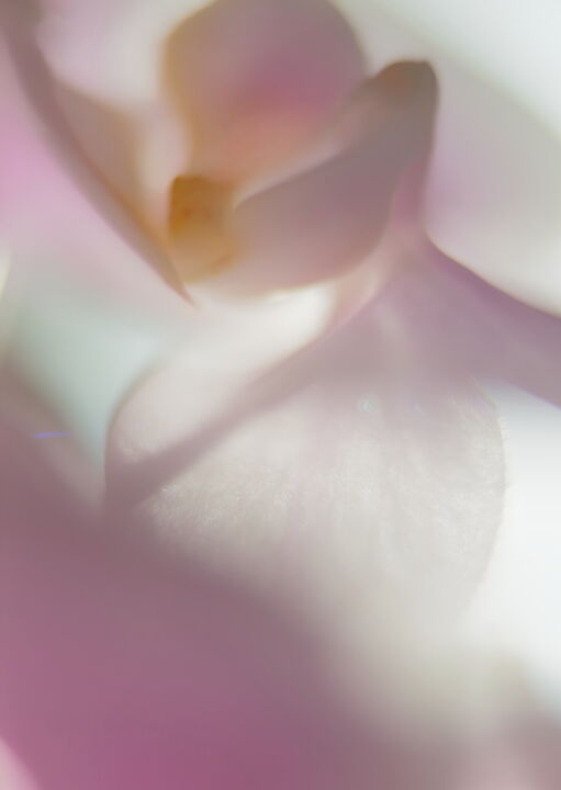 Photography titled "And there the Antic…" by Barrie Dale, Original Artwork, Digital Photography