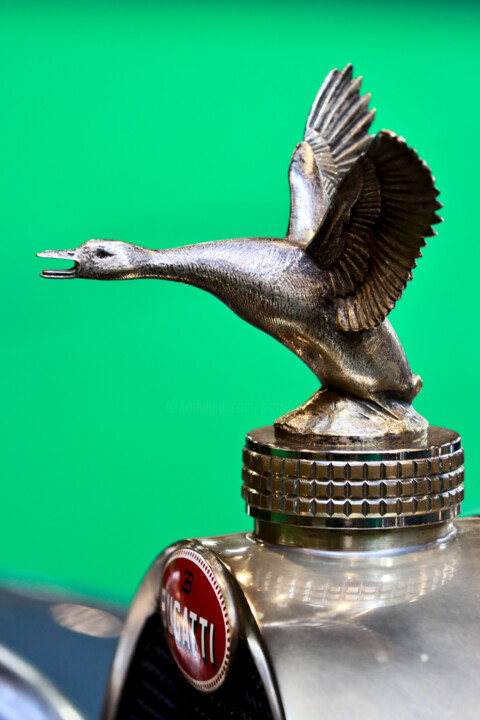 Bugatti, mascotte "Canard en vol" 摄影
