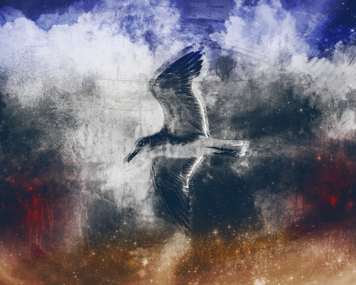 The flight of life 摄影, 23.6x29.5 in