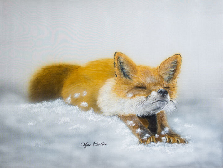 Sleepy fox 绘画, 15.8x19.7 in