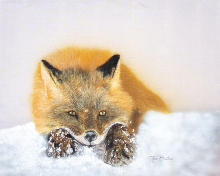 Dreamy Fox 绘画, 15.8x19.7 in