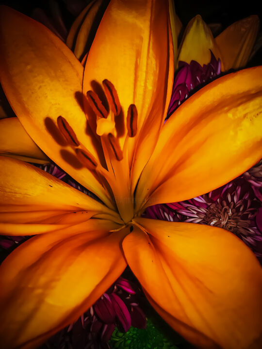 Vibrant Serenity Printmaking, 55x40 in