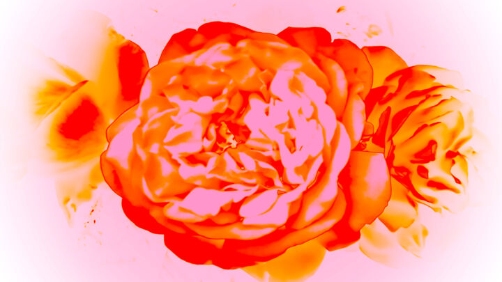 Fluid Bloom 印花与版画, 40x72 in