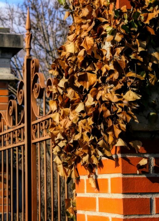 Photographie intitulée "Autumn Colours." par Dave English, Œuvre d'art originale, Photographie numérique