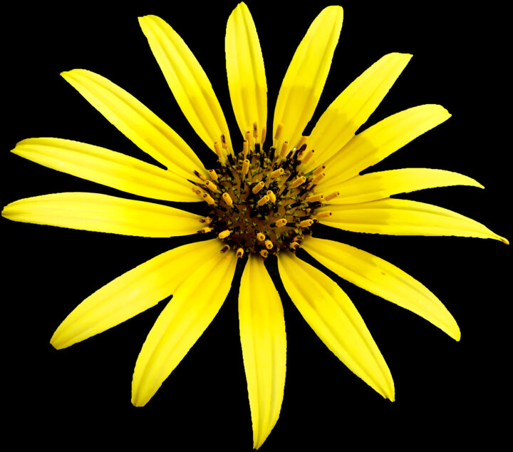 Fotografie getiteld "O Sole Mio" door Duncan Bennett, Origineel Kunstwerk, Digitale fotografie