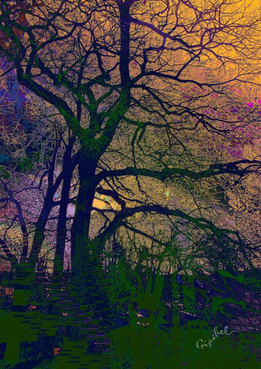 L'arbre mysterieux 摄影
