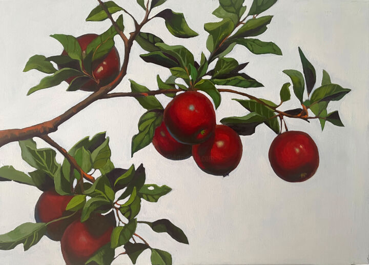red apples 绘画, 19.7x27.6 in