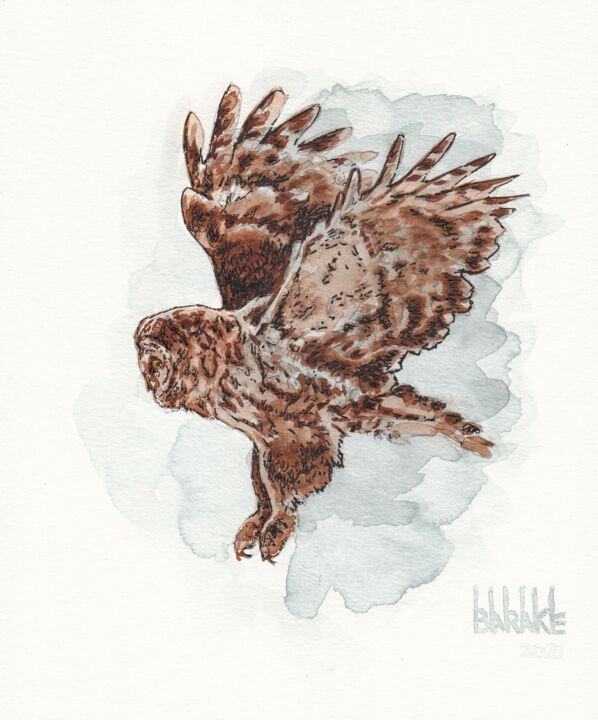 GREAT GREY OWL 绘画, 11.4x8.3 in