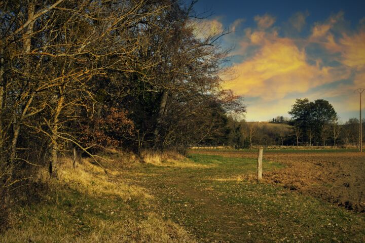 Photography titled "Summer Walk." by Dave English, Original Artwork, Digital Photography