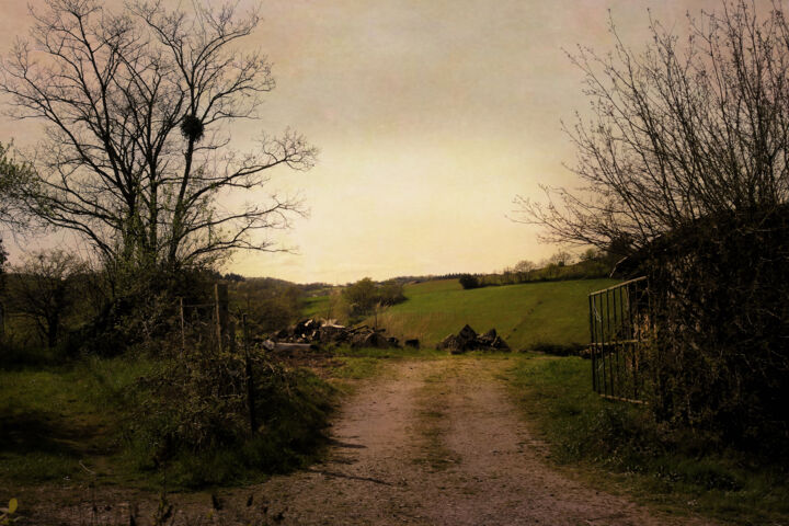 Photography titled "Front door view." by Dave English, Original Artwork, Digital Photography